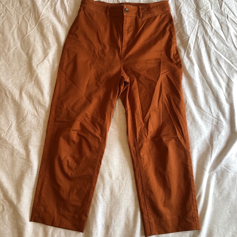 Everlane Burnt Orange Pants